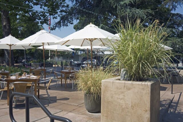 Bistro-33-Davis-Outside-Patio