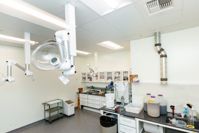 Corporate photos captured at 21st Bio, Davis by Samantha May Photography